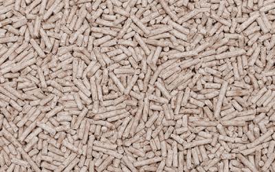 Bild Artikel Haustierbedarf Katzenstreu